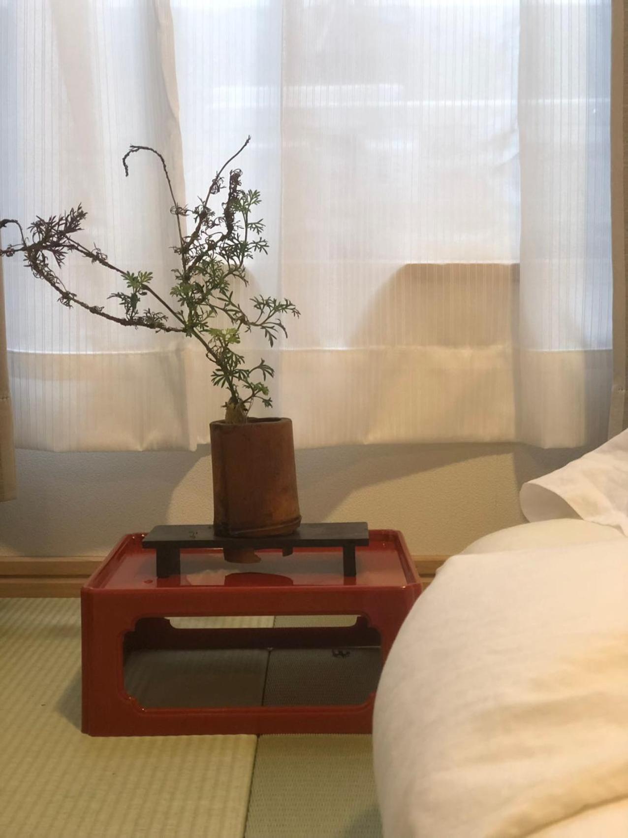 Inari-Home كيوتو المظهر الخارجي الصورة